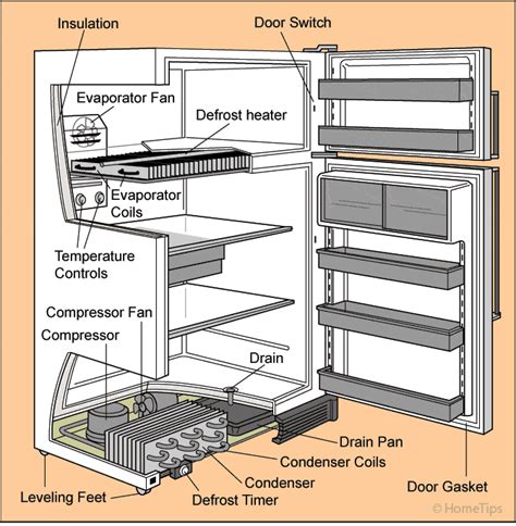 Guide to the Parts of a Freezer 